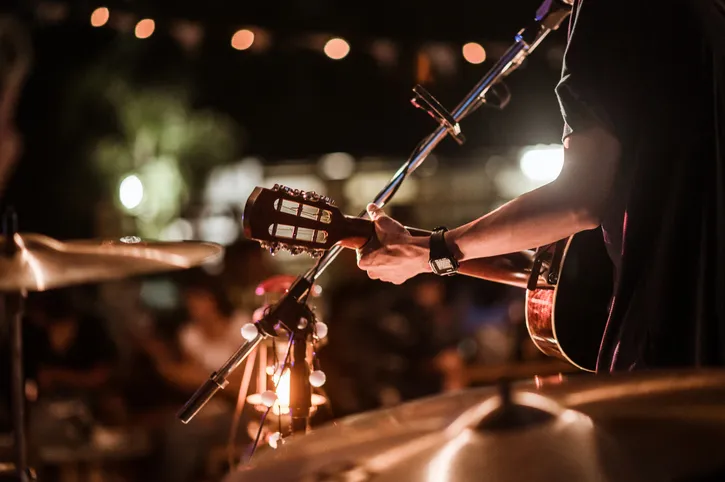 A photo of a singer playing a guitar from back facing the crowd.